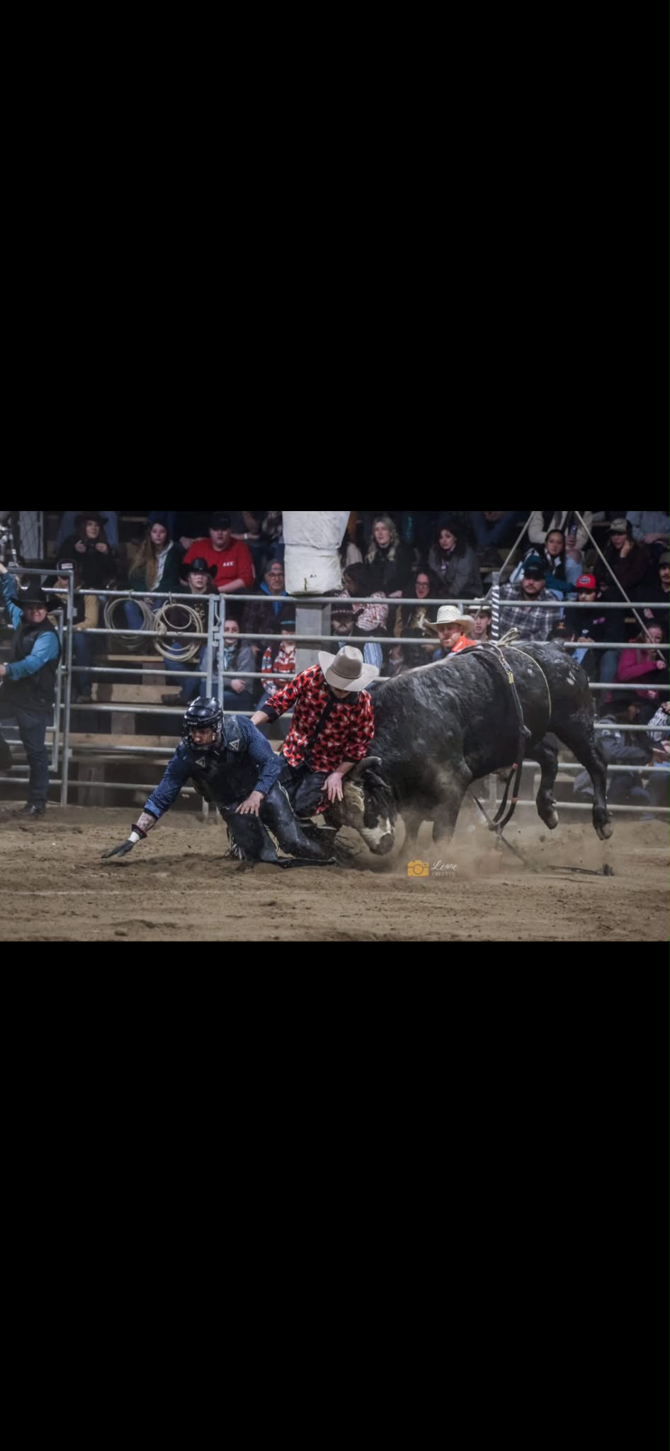 Samuel Meunier, coach bullfighting
