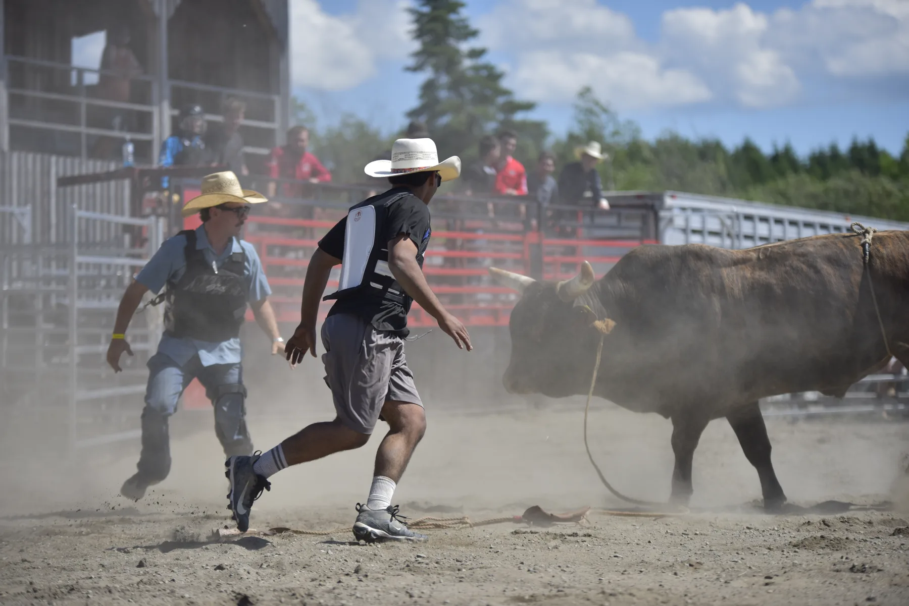 Bull rider en action — clinique du 13 juin 2026