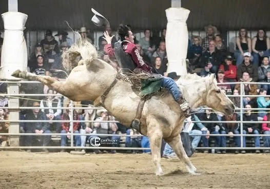 Saddle bronc