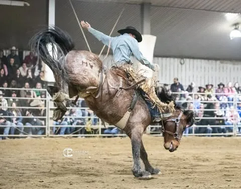Bronc riding