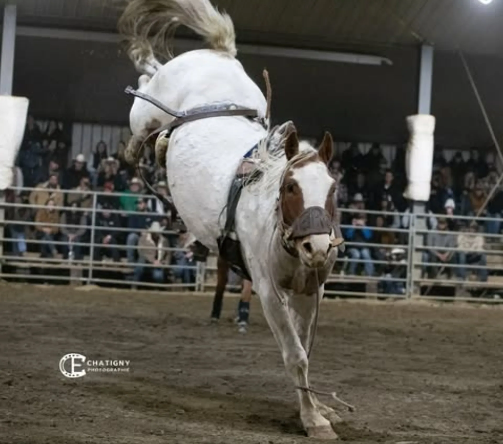 Rodéo Ranch Gagnon