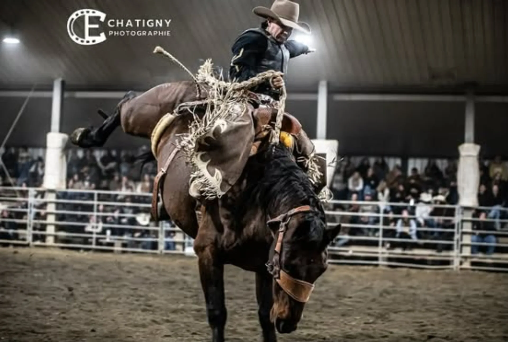 Barrel racing et gymkhana